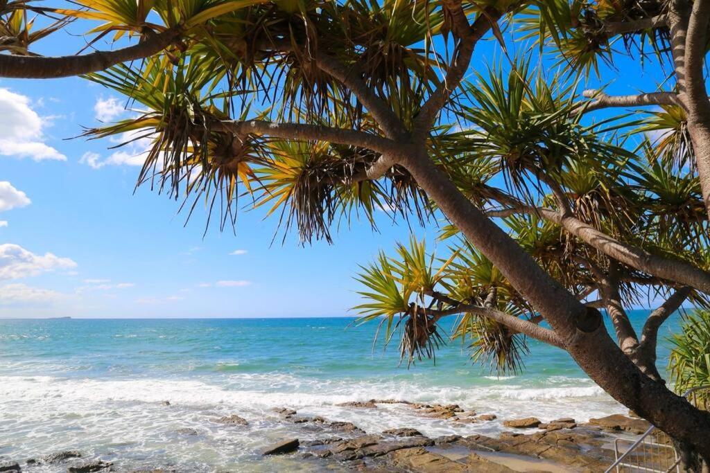 Alex Heads Beachfront Resort King Bed Studio Room Alexandra Headland Εξωτερικό φωτογραφία